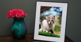 Aura’s delightful Aspen photo frame is on sale for $30 off this weekend