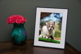 Aura’s delightful Aspen photo frame is on sale for $30 off this weekend