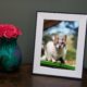 Aura’s delightful Aspen photo frame is on sale for $30 off this weekend