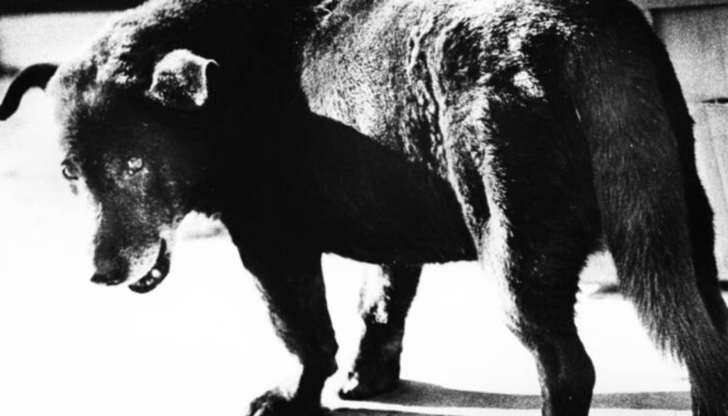 Fondation Henri Cartier‑Bresson Unveils Dual Photography Exhibitions in Paris