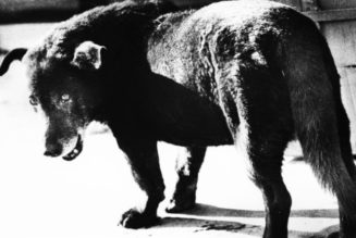 Fondation Henri Cartier‑Bresson Unveils Dual Photography Exhibitions in Paris
