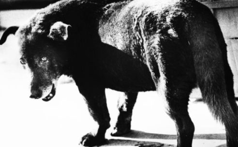 Fondation Henri Cartier‑Bresson Unveils Dual Photography Exhibitions in Paris