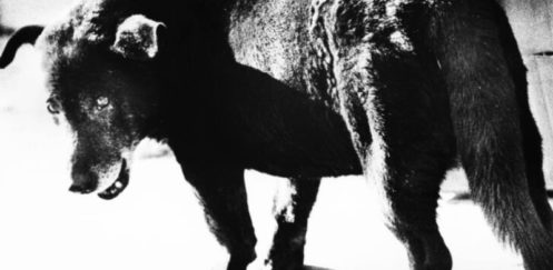 Fondation Henri Cartier‑Bresson Unveils Dual Photography Exhibitions in Paris