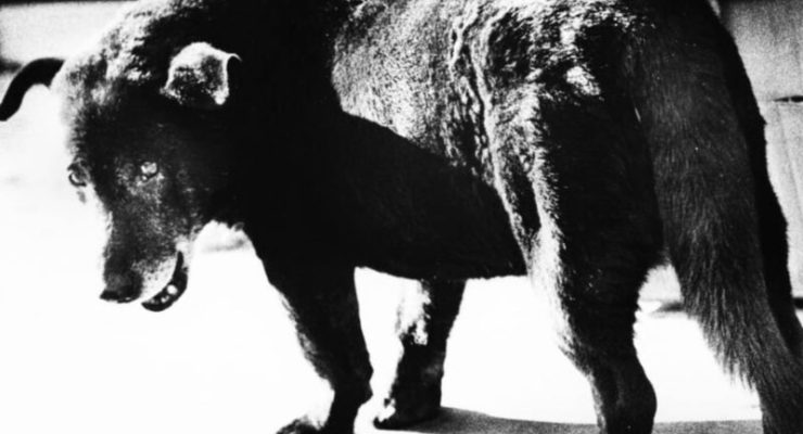 Fondation Henri Cartier‑Bresson Unveils Dual Photography Exhibitions in Paris