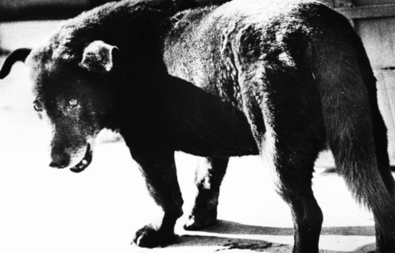 Fondation Henri Cartier‑Bresson Unveils Dual Photography Exhibitions in Paris