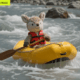 Google’s new anything-to-anything AI model is wild