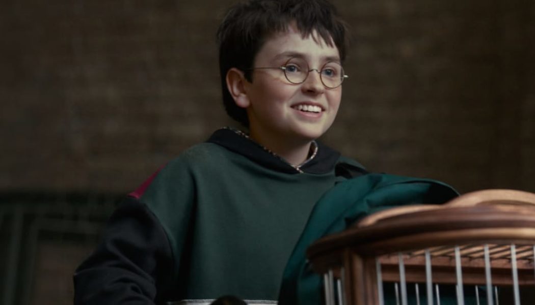 HBO Renews 'Harry Potter' Series for Season 2, Tackling 'The Chamber of Secrets'