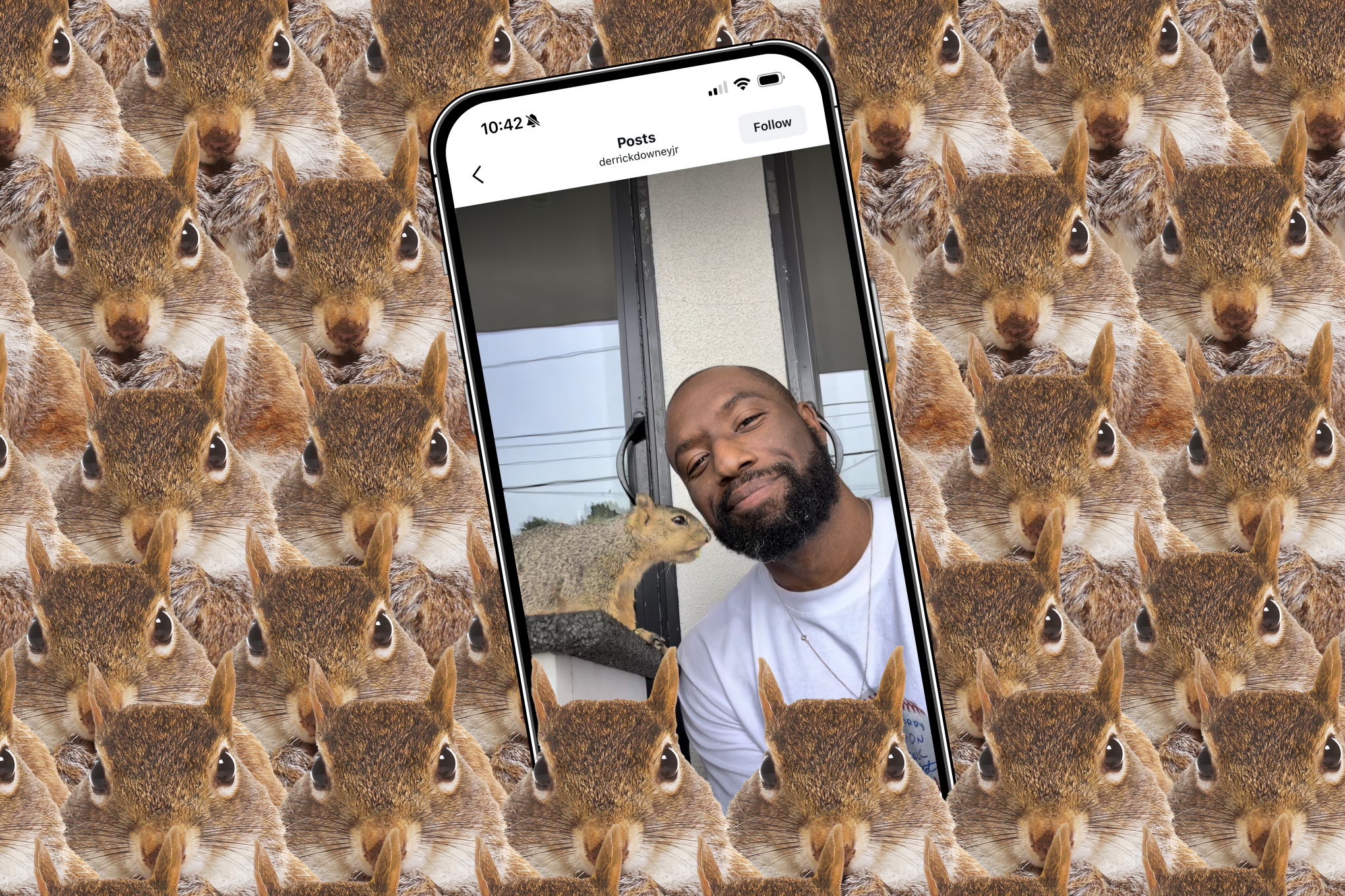 Vrg_illo_squirrel_influencer