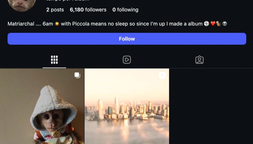 Lil Uzi Vert Is Rolling Out a New Album on His Pet Monkey's Instagram Page: Everything We Loved in Music This Week