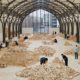 Lina Lapelytė Builds Time With 400,000 Cubes in ‘We Make Years Out of Hours’