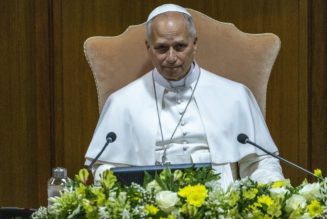 Pope Leo calls for being ‘profoundly human’ in the age of AI