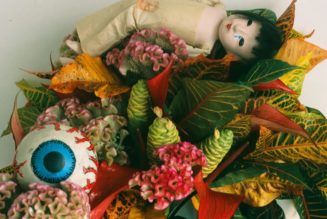 Roe Ethridge and Nobuyoshi Araki’s Subversive Still Lifes Hit New York