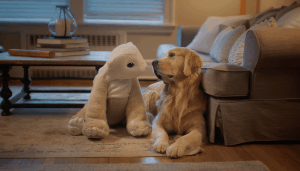 The creator of Roomba is back with a furry robot companion