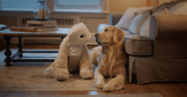 The creator of Roomba is back with a furry robot companion