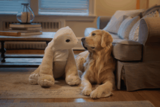 The creator of Roomba is back with a furry robot companion