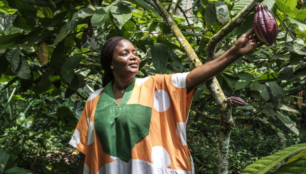 A Nomadic Chef Puts Down Roots