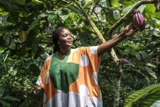 A Nomadic Chef Puts Down Roots