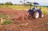 Africa’s food systems need a Magna Carta moment to boost production