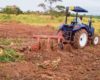 Africa’s food systems need a Magna Carta moment to boost production