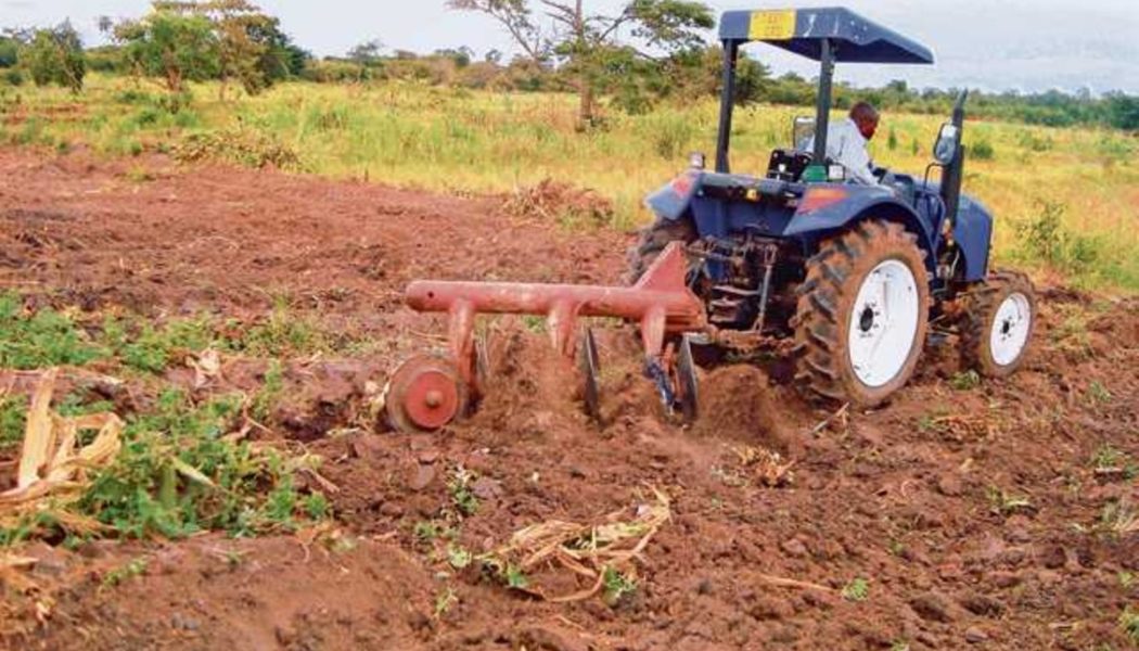 Africa’s food systems need a Magna Carta moment to boost production