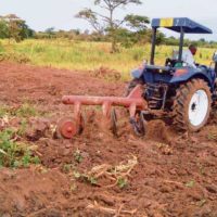Africa’s food systems need a Magna Carta moment to boost production