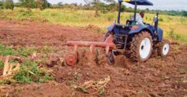 Africa’s food systems need a Magna Carta moment to boost production