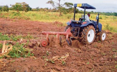 Africa’s food systems need a Magna Carta moment to boost production