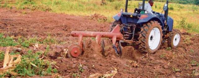 Africa’s food systems need a Magna Carta moment to boost production