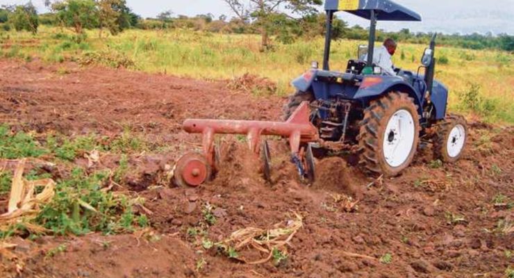 Africa’s food systems need a Magna Carta moment to boost production