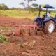 Africa’s food systems need a Magna Carta moment to boost production