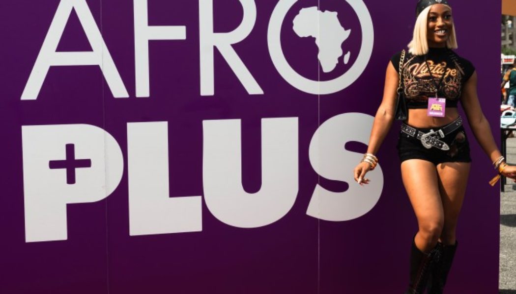 Afro Plus Fest Returns, Headlined By Davido, Alkaline & Wizkid