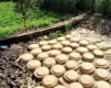 Before the Pyramids, There Was This Bread
