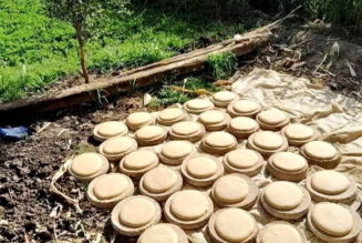 Before the Pyramids, There Was This Bread