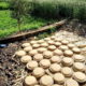 Before the Pyramids, There Was This Bread