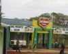 Del Monte wins Sh270m tax battle with KRA over forex losses