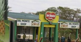 Del Monte wins Sh270m tax battle with KRA over forex losses