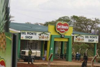 Del Monte wins Sh270m tax battle with KRA over forex losses