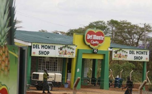 Del Monte wins Sh270m tax battle with KRA over forex losses