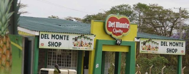 Del Monte wins Sh270m tax battle with KRA over forex losses