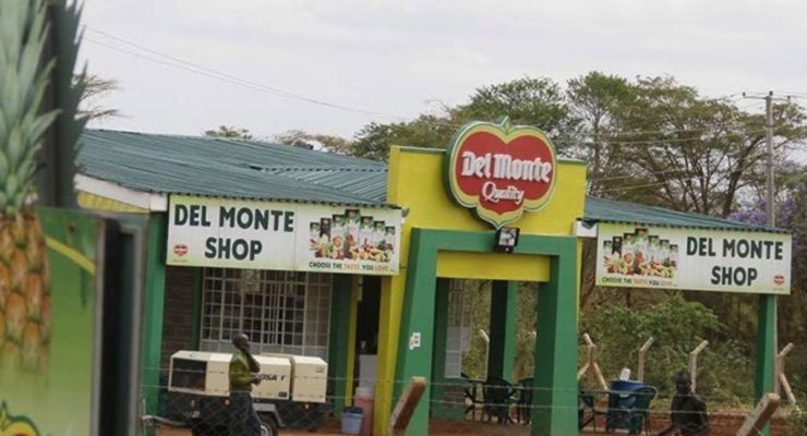 Del Monte wins Sh270m tax battle with KRA over forex losses