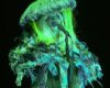 Erykah Badu Announces 2026 North American "LIVE" Tour With De La Soul, The Alchemist, and Smino