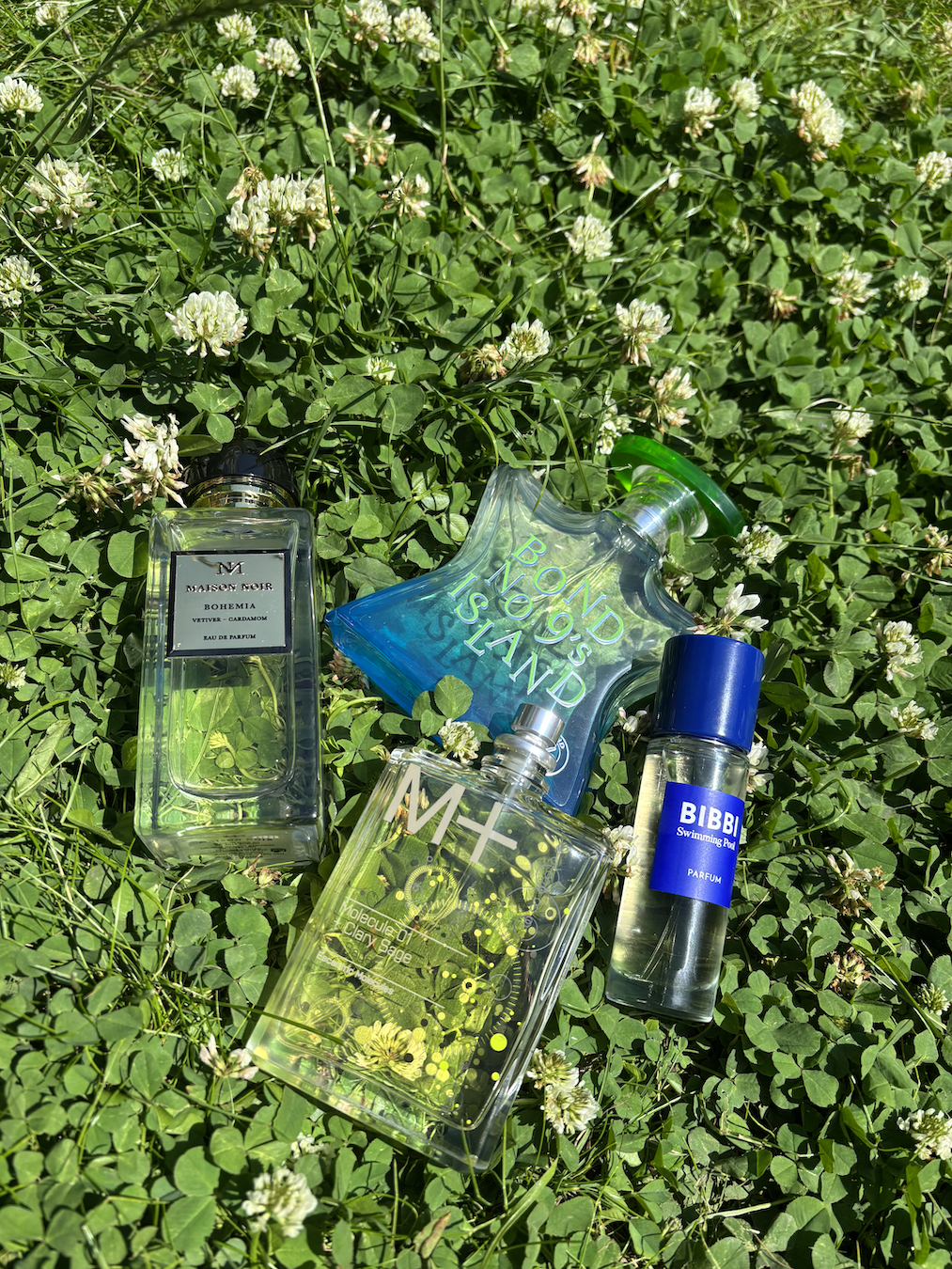 Selection of the best herby perfumes