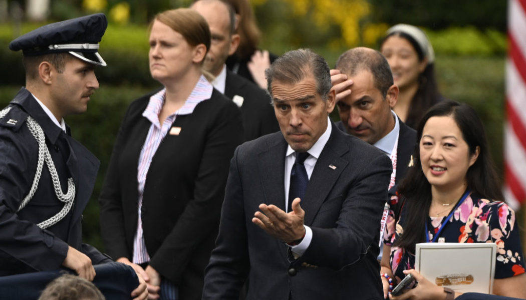 Hunter Biden Gives Democrats Sound Advice Following Shocking DSA Primary Wins
