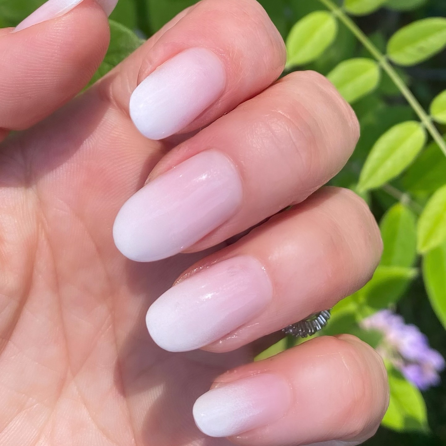 Ombr&amp;eacute; French manicure