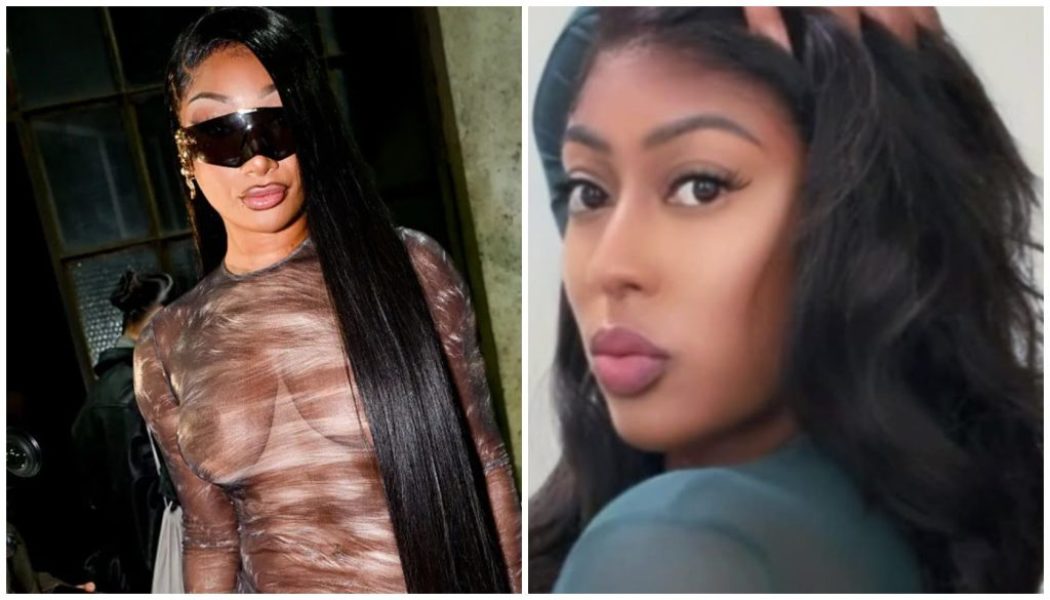Megan Thee Stallion Moves To Collect $75K As Blogger Requests Delay