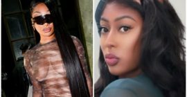 Megan Thee Stallion Moves To Collect $75K As Blogger Requests Delay