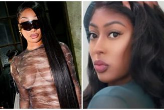 Megan Thee Stallion Moves To Collect $75K As Blogger Requests Delay