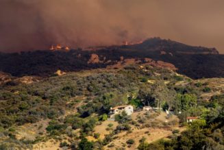Prosecutors used ChatGPT logs as evidence in the Palisades fire trial