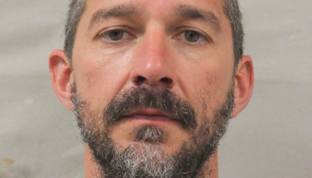 Shia LaBeouf Pleads Guilty Over Mardi Gras Fight, Receives Probation