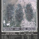 Show Me the Body Announce Fall 2026 Tour, Unleash Single "Eat for Peace"